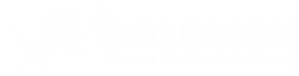 Boldlion Global Services Limited